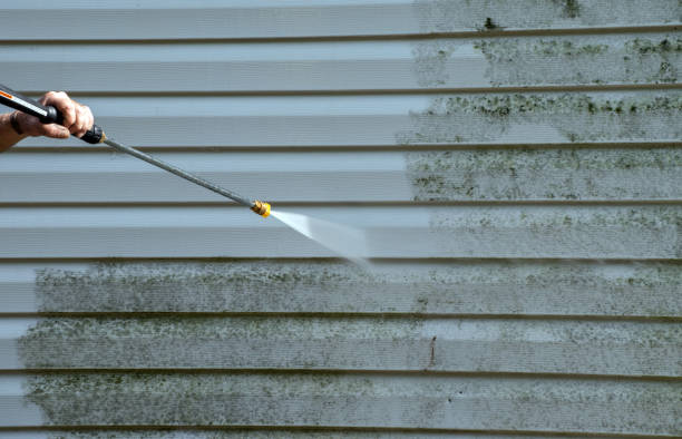 Best Vinyl Siding Pressure Washing in Randolph Af, TX